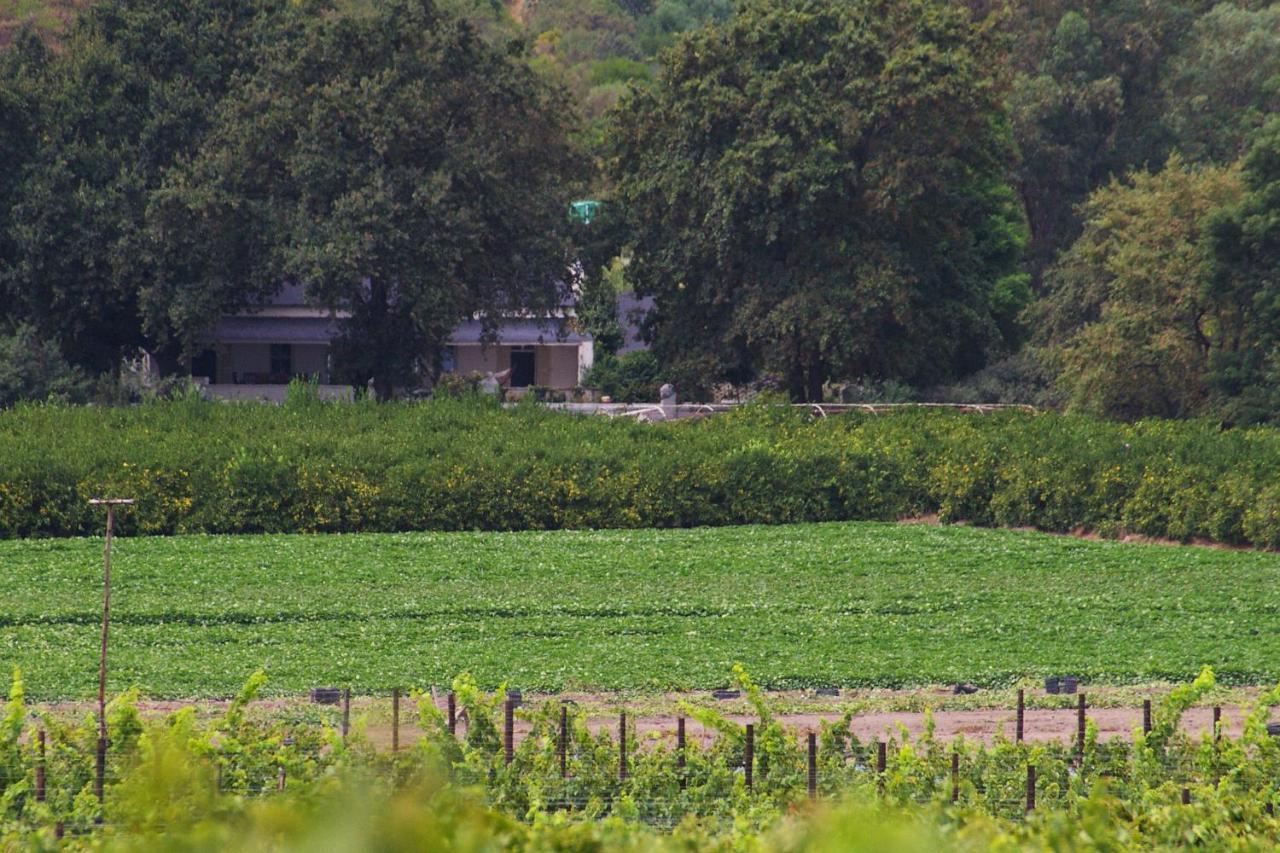 Hartebeeskraal Selfcatering Cottage พาร์ล ภายนอก รูปภาพ